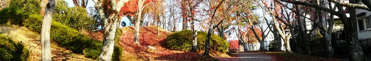 秋のあすか野南の緑道