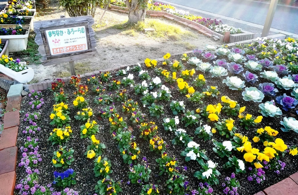 あすか野オアシスの会の花壇