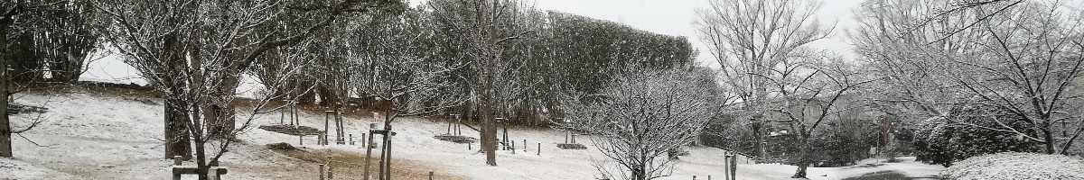 雪のあすか野北の緑道